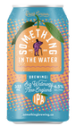 Big Waterway New England IPA